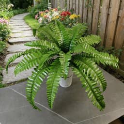 Artificial Shrubs Fake Boston Fern Plants Natural Fern Bushes UV Resistant Greenery Bunches Faux Plants Shrubs for Outdoor Decor