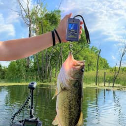 40kg/10g Mini Pocket Scale Electronic Portable Digital Weight Fish Hook Luggage Hanging With Backlight Fishing Weight Scale