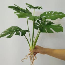 31in Large Fake Tropical Monstera Plants Artificial Palm Tree Plastic Leaf Water Plant for Office Desk Home Garden Greenery Deco