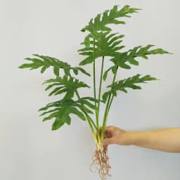 31in Large Fake Tropical Monstera Plants Artificial Palm Tree Plastic Leaf Water Plant for Office Desk Home Garden Greenery Deco