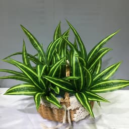 13in Artificial Plants Wall Palm Leaves Tropical Fake Dracaena Tree Lily Bamboo Plastic Magnolia Foliage For Home Garden Decor
