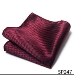 Mix Colors Newest style Classic Silk Pocket Square Handkerchief Clothing accessories Paisley Beige Male Fit Business
