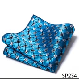 Mix Colors Newest style Classic Silk Pocket Square Handkerchief Clothing accessories Paisley Beige Male Fit Business
