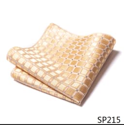 Mix Colors Newest style Classic Silk Pocket Square Handkerchief Clothing accessories Paisley Beige Male Fit Business