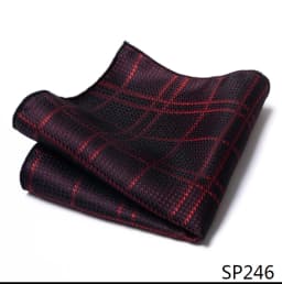 Mix Colors Newest style Classic Silk Pocket Square Handkerchief Clothing accessories Paisley Beige Male Fit Business
