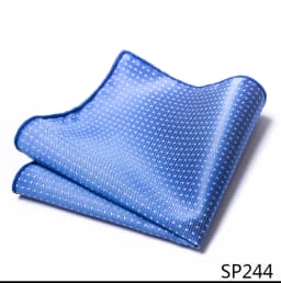 Mix Colors Newest style Classic Silk Pocket Square Handkerchief Clothing accessories Paisley Beige Male Fit Business