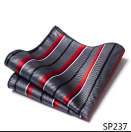 Mix Colors Newest style Classic Silk Pocket Square Handkerchief Clothing accessories Paisley Beige Male Fit Business