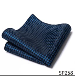 Mix Colors Newest style Classic Silk Pocket Square Handkerchief Clothing accessories Paisley Beige Male Fit Business