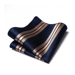 Mix Colors Newest style Classic Silk Pocket Square Handkerchief Clothing accessories Paisley Beige Male Fit Business