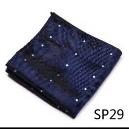 Mix Colors Newest style Classic Silk Pocket Square Handkerchief Clothing accessories Paisley Beige Male Fit Business