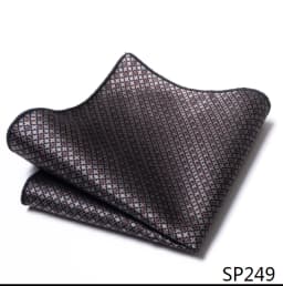 Mix Colors Newest style Classic Silk Pocket Square Handkerchief Clothing accessories Paisley Beige Male Fit Business