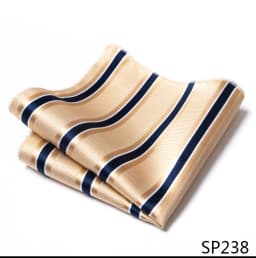 Mix Colors Newest style Classic Silk Pocket Square Handkerchief Clothing accessories Paisley Beige Male Fit Business