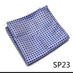 Mix Colors Newest style Classic Silk Pocket Square Handkerchief Clothing accessories Paisley Beige Male Fit Business