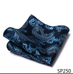 Mix Colors Newest style Classic Silk Pocket Square Handkerchief Clothing accessories Paisley Beige Male Fit Business