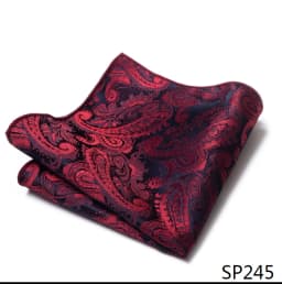 Mix Colors Newest style Classic Silk Pocket Square Handkerchief Clothing accessories Paisley Beige Male Fit Business