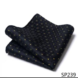 Mix Colors Newest style Classic Silk Pocket Square Handkerchief Clothing accessories Paisley Beige Male Fit Business