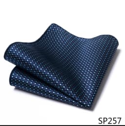 Mix Colors Newest style Classic Silk Pocket Square Handkerchief Clothing accessories Paisley Beige Male Fit Business
