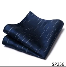 Mix Colors Newest style Classic Silk Pocket Square Handkerchief Clothing accessories Paisley Beige Male Fit Business