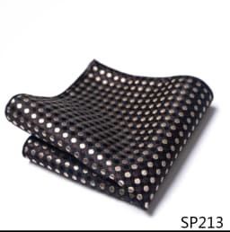 Mix Colors Newest style Classic Silk Pocket Square Handkerchief Clothing accessories Paisley Beige Male Fit Business