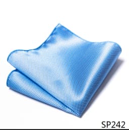 Mix Colors Newest style Classic Silk Pocket Square Handkerchief Clothing accessories Paisley Beige Male Fit Business