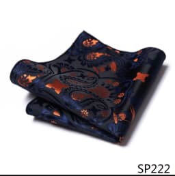 Mix Colors Newest style Classic Silk Pocket Square Handkerchief Clothing accessories Paisley Beige Male Fit Business