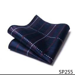 Mix Colors Newest style Classic Silk Pocket Square Handkerchief Clothing accessories Paisley Beige Male Fit Business