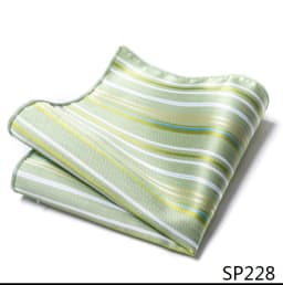 Mix Colors Newest style Classic Silk Pocket Square Handkerchief Clothing accessories Paisley Beige Male Fit Business