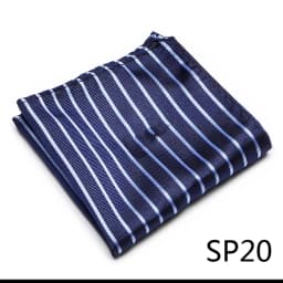 Mix Colors Newest style Classic Silk Pocket Square Handkerchief Clothing accessories Paisley Beige Male Fit Business
