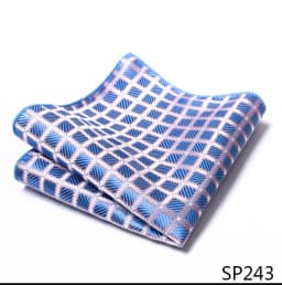 Mix Colors Newest style Classic Silk Pocket Square Handkerchief Clothing accessories Paisley Beige Male Fit Business