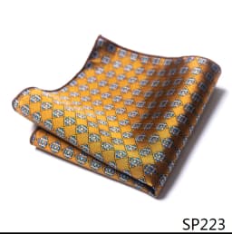 Mix Colors Newest style Classic Silk Pocket Square Handkerchief Clothing accessories Paisley Beige Male Fit Business