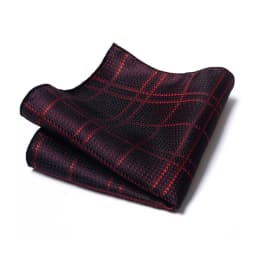 Mix Colors Newest style Classic Silk Pocket Square Handkerchief Clothing accessories Paisley Beige Male Fit Business