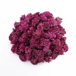 10/30/30Pcs Wholesale Artificial Mini Hydrangea Flower Head For Crafts Carnation Party Home Wedding DIY Wreaths Festival Decor