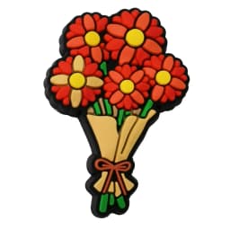 PVC Bottle Shoe Charms Cute Garden Shoes Decorations Buckle Accessories for Wristband Kids Adults Gifts
