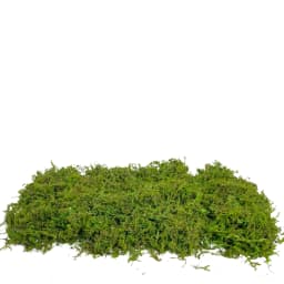 Artificial Fake Moss, Craft Moss for Potted Plant Centerpieces Decor