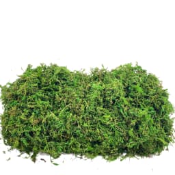 Artificial Fake Moss, Craft Moss for Potted Plant Centerpieces Decor