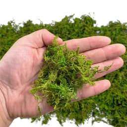 Artificial Fake Moss, Craft Moss for Potted Plant Centerpieces Decor