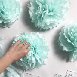 5pcs 10/15/20/25/30cm Tissue Paper Pompoms Flower Balls Wedding Festival Party Decoration Home DIY Craft Paper Pom Poms Supplies