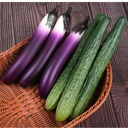 Simulation Cuke Cucumber Model Cabinet Hotel Dining Room Hall Restaurant Store Shop Decoration Artificial Fake Vegetables Props