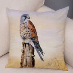 Bedroom Sofa Car Cushion Cover Cartoon Animal Colorful Fox Bird Squirrel Series Home Office Decoration Pillow