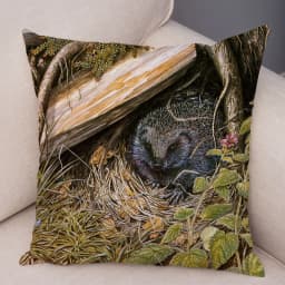 Bedroom Sofa Car Cushion Cover Cartoon Animal Colorful Fox Bird Squirrel Series Home Office Decoration Pillow