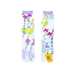 Japanese Multi-Color Jacquard Carrot Chestnut Flower Literary Cute Two-Toe Socks Middle Tube Tabi Split Toe Socks Tide Socks