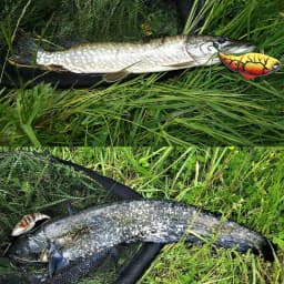 Lipless Vibration Lure Hard Fish Baits 115mm Crankbait Fishing Lures Slow Sinking Lure VIB Jointed Fishing Wobbler for Fishing