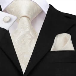 Ivory Champagne Paisley Wedding Tie For Men Handky Cufflink Gift Mens Necktie Fashion Design Business Party Dropship Hi-Tie