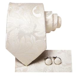 Ivory Champagne Paisley Wedding Tie For Men Handky Cufflink Gift Mens Necktie Fashion Design Business Party Dropship Hi-Tie