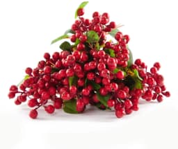 5 Pack 25CM Plastic Artificial Flowers California Berries Blueberry Fruit Fake Silk Flowers Home Decorative Party Wedding Blue