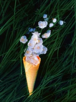 Simulation Crispy Big Mac Real Gelato Ice Cream Cone ASMR Sound Waff Model Food DIY Props Sameple Flower Bouquet Festival Ikeban