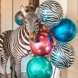4/10Pcs 22inch 4D Round Animal Printed Leopard Zebra Tiger Giraffe Foil Balloons Jungle Safari Birthday Balloons Party Decor