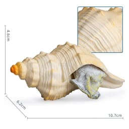 Simulation Marine Sea Life Lobster Crab Figurines Shark Action Figures Ocean Animals Model Dolphin Educational Toys for Children