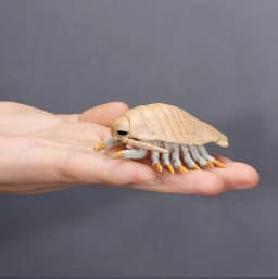 Simulation Marine Sea Life Lobster Crab Figurines Shark Action Figures Ocean Animals Model Dolphin Educational Toys for Children