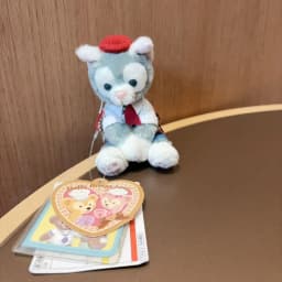Disney Stellalou Duff Anime Figure Plush Keychain and Bag Pandent Stuffed Animals Rabbit and Bear Peluche Bag Decorations